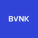 BVNK logo